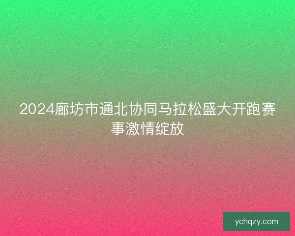 2024廊坊市通北协同马拉松盛大开跑赛事激情绽放 2024廊坊市通北协同马拉松盛大开跑赛事激情绽放